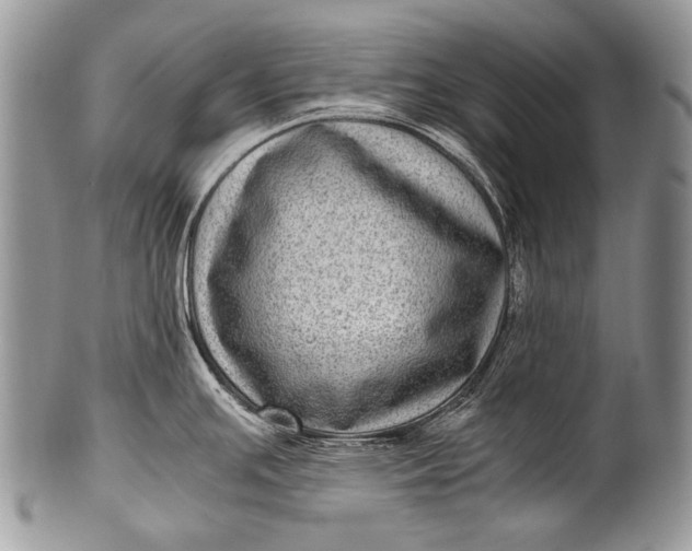 X0000100401391200806201726