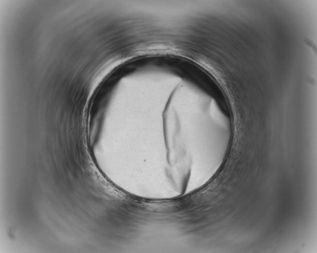 X0000100401392200806201726