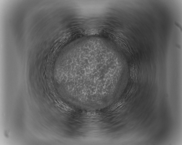X0000100401393200806201726