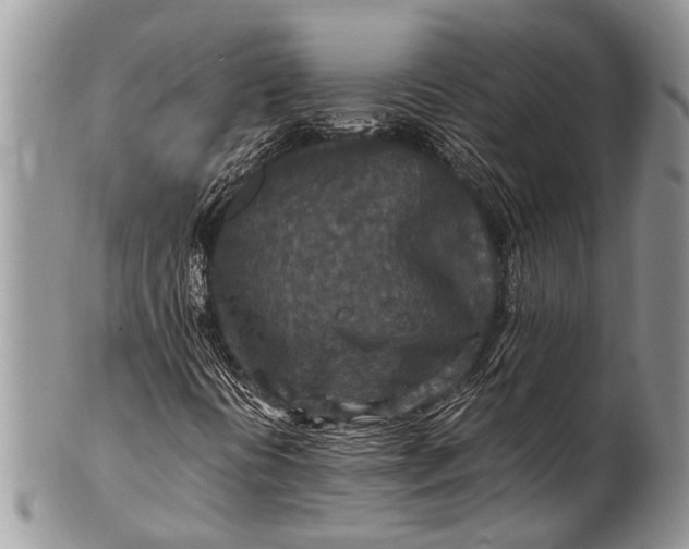 X0000100401394200806201726