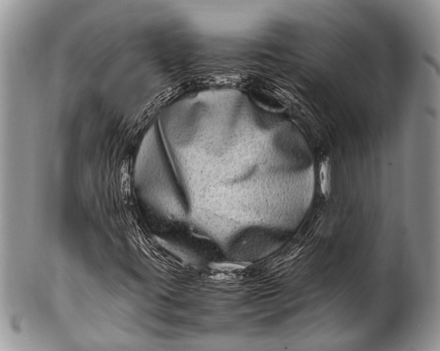 X0000100401395200806201726
