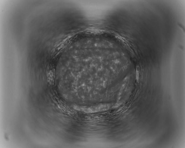 X0000100401397200806201726