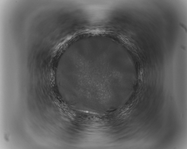 X0000100401398200806201726