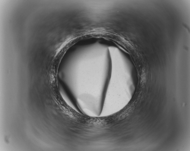 X0000100401400200806201726