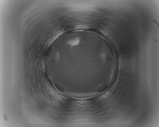 X0000100401401200806201726