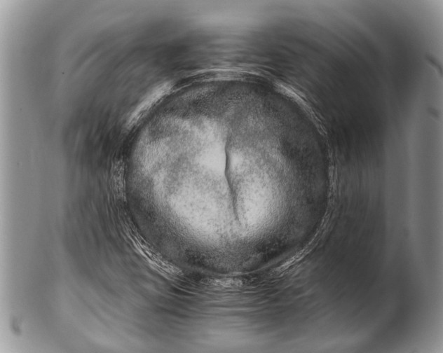 X0000100401403200806201726