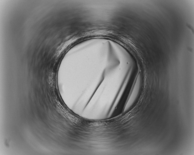 X0000100401404200806201726