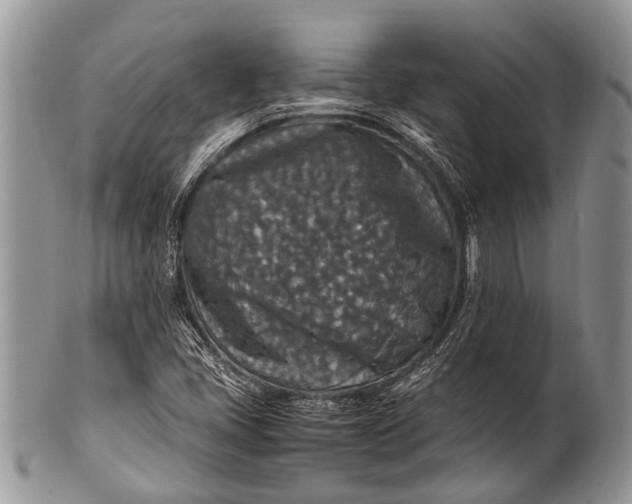 X0000100401405200806201726