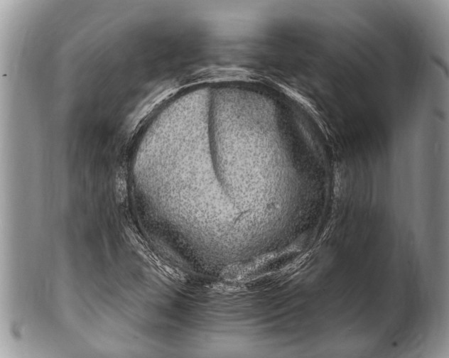 X0000100401407200806201726