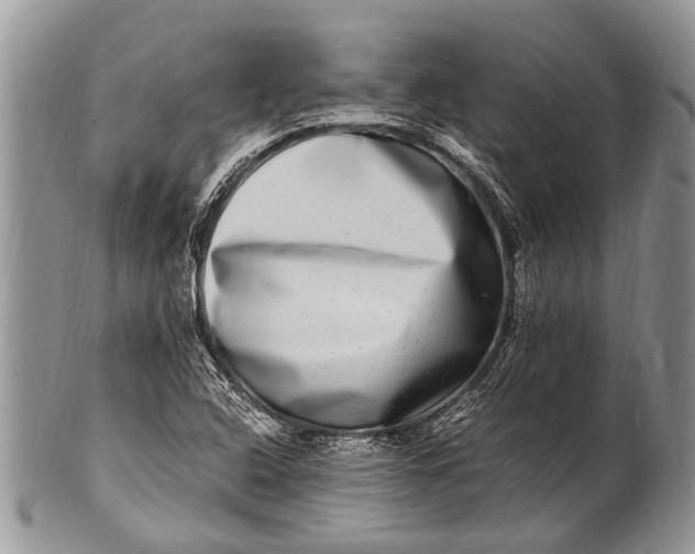 X0000100401408200806201726