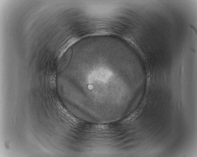 X0000100401409200806201726