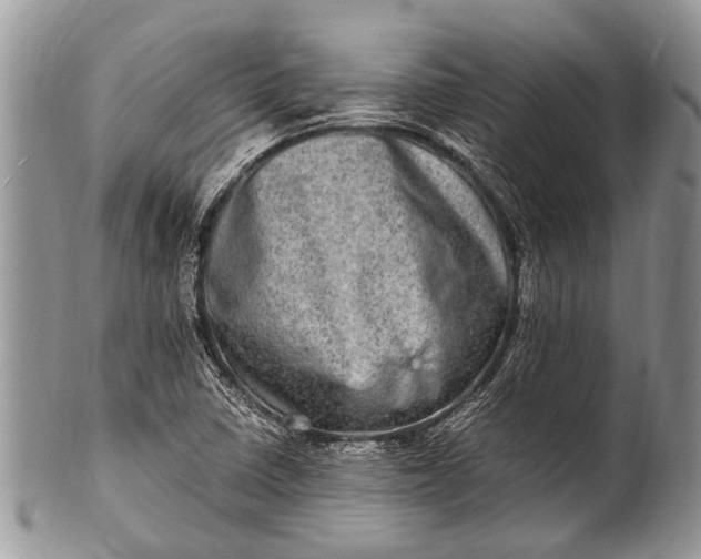 X0000100401410200806201726