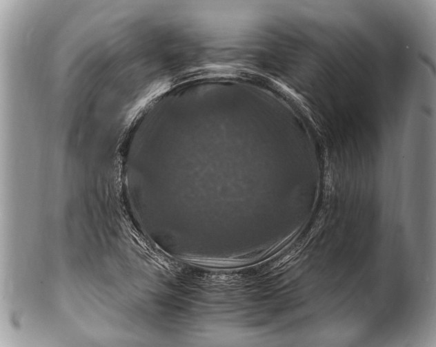 X0000100401411200806201726