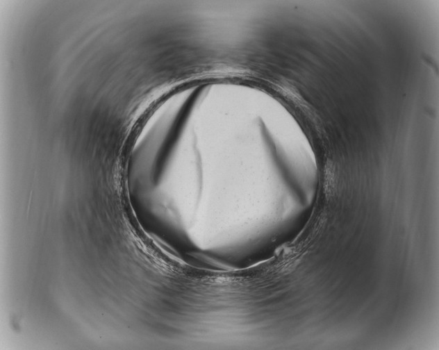 X0000100401412200806201726