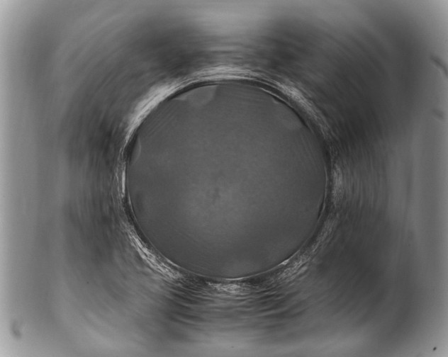 X0000100401413200806201726