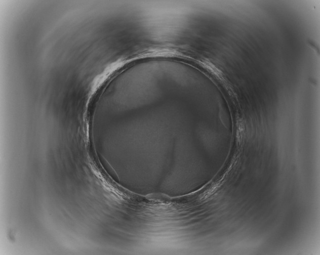 X0000100401414200806201726