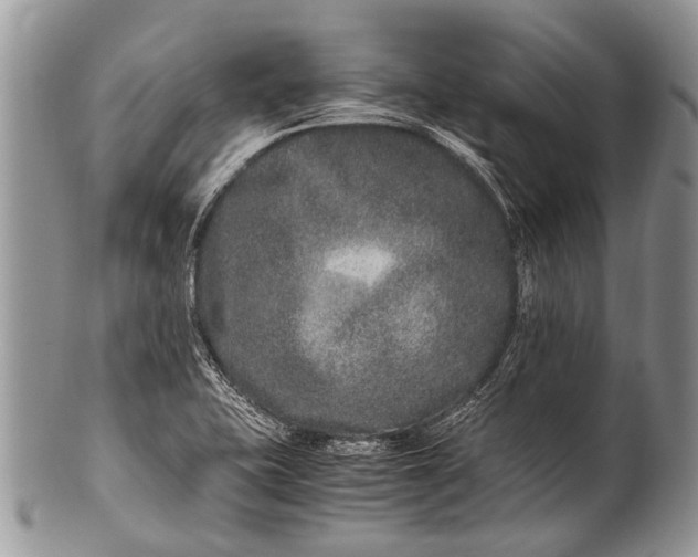 X0000100401415200806201726