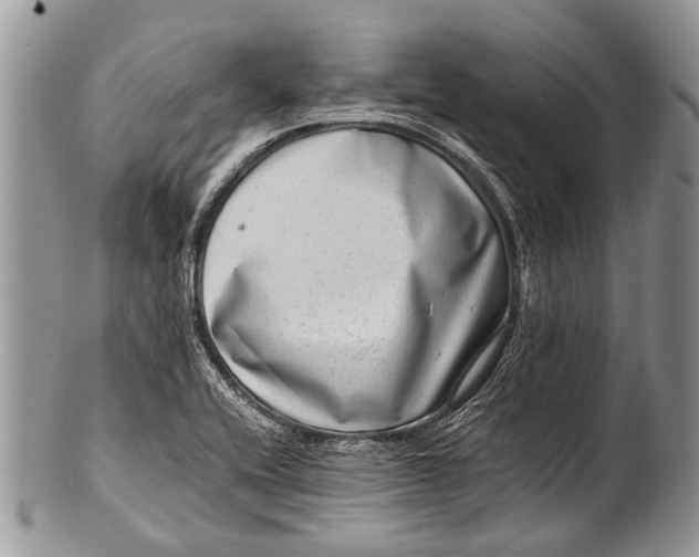 X0000100401416200806201726