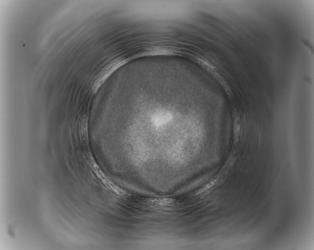 X0000100401417200806201726