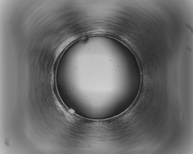 X0000100401418200806201726