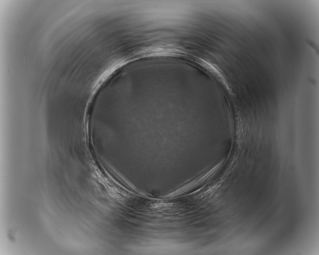 X0000100401419200806201726