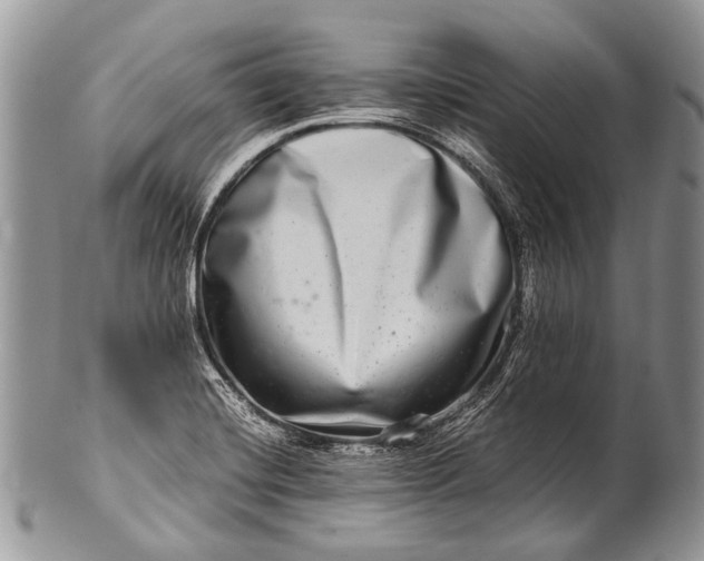 X0000100401420200806201726