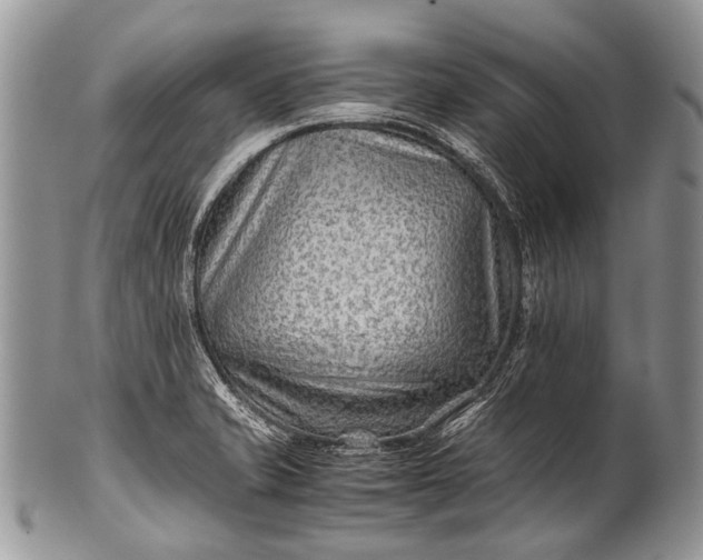 X0000100401421200806201726