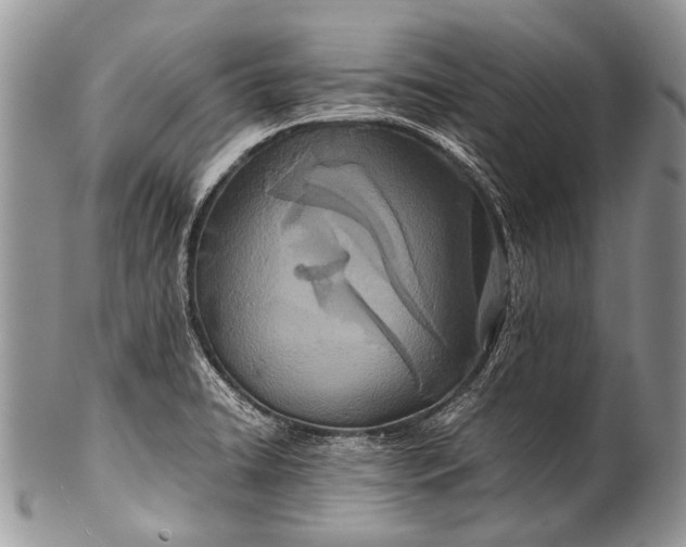 X0000100401422200806201726