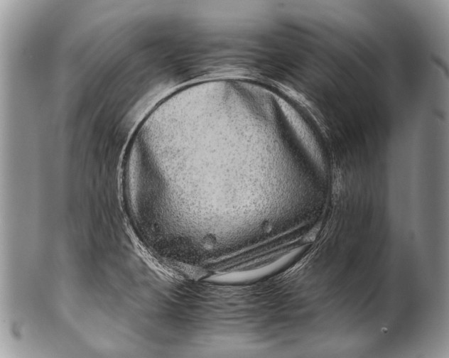 X0000100401423200806201726