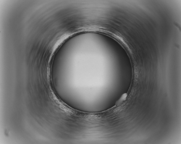 X0000100401424200806201726