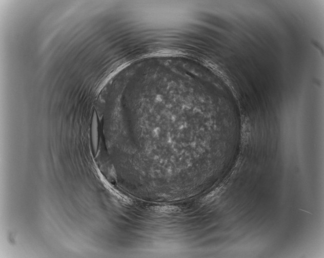 X0000100401425200806201726
