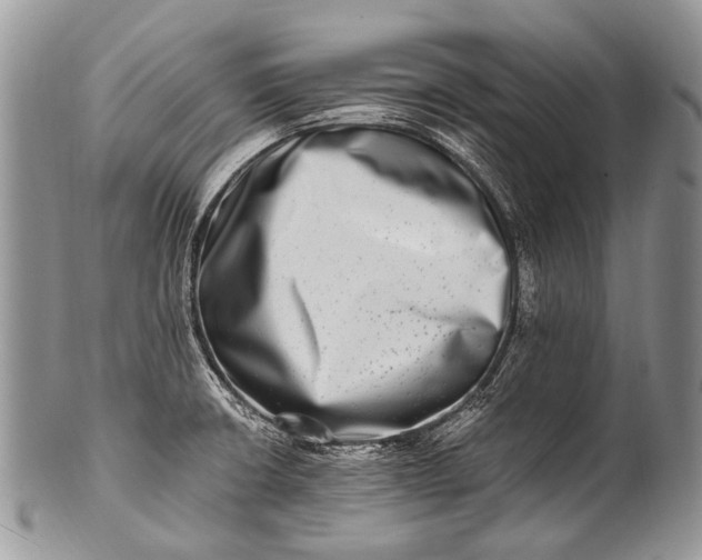 X0000100401426200806201726