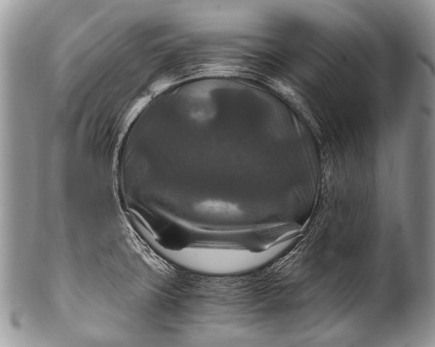 X0000100401427200806201726