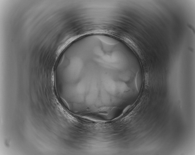 X0000100401428200806201726