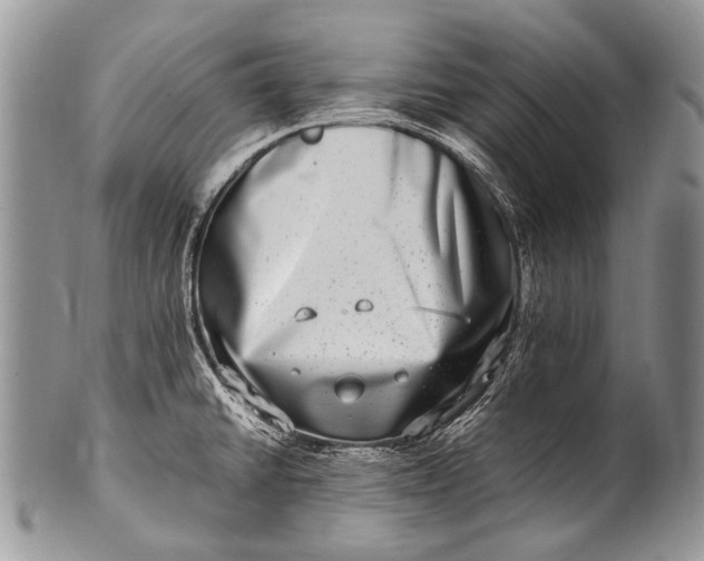 X0000100401430200806201726
