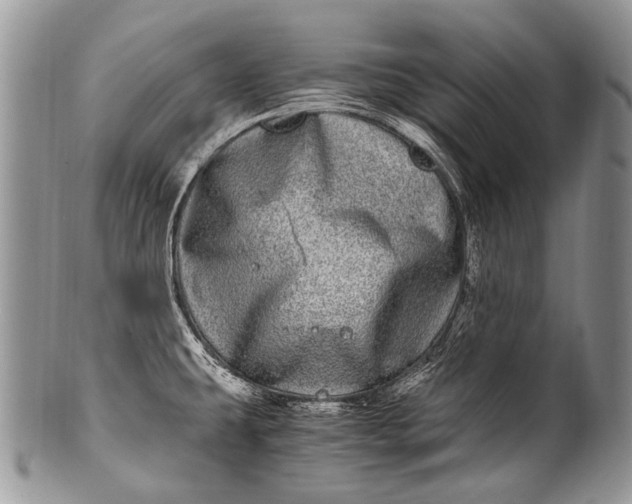 X0000100401431200806201726