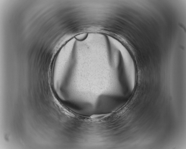 X0000100401432200806201726