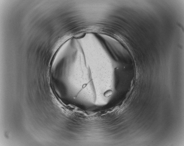 X0000100401434200806201726