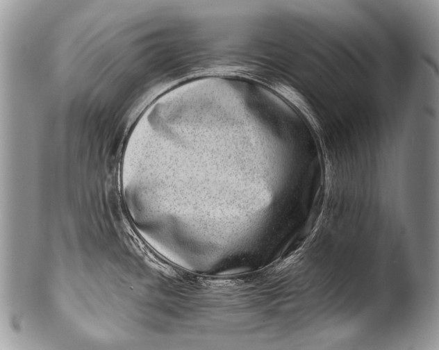 X0000100401436200806201726