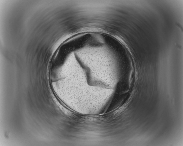 X0000100401438200806201726