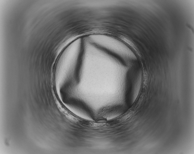 X0000100401439200806201726