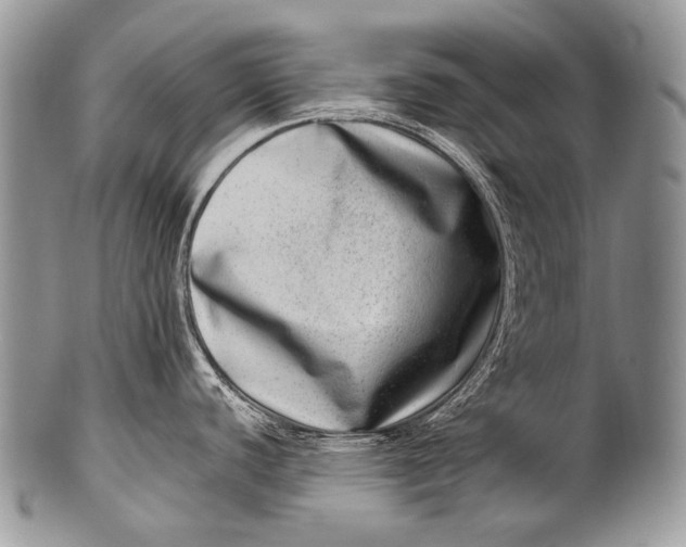 X0000100401440200806201726