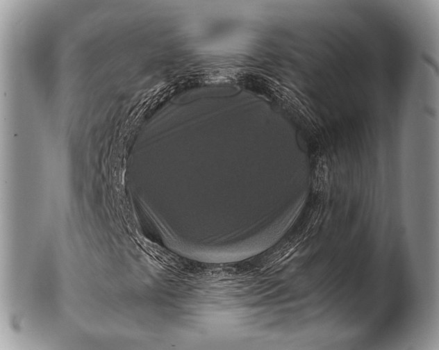 X0000100401441200806201726