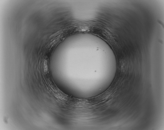 X0000100401442200806201726