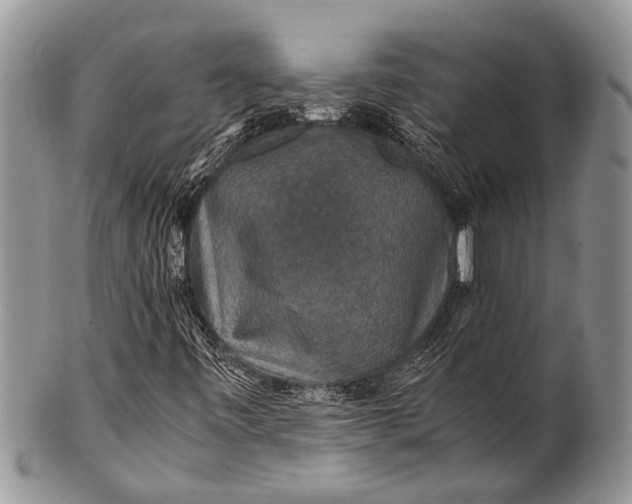 X0000100401443200806201726