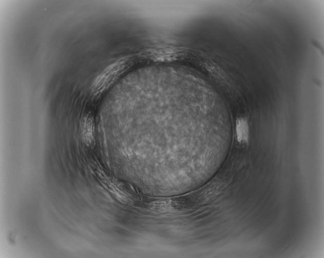X0000100401444200806201726