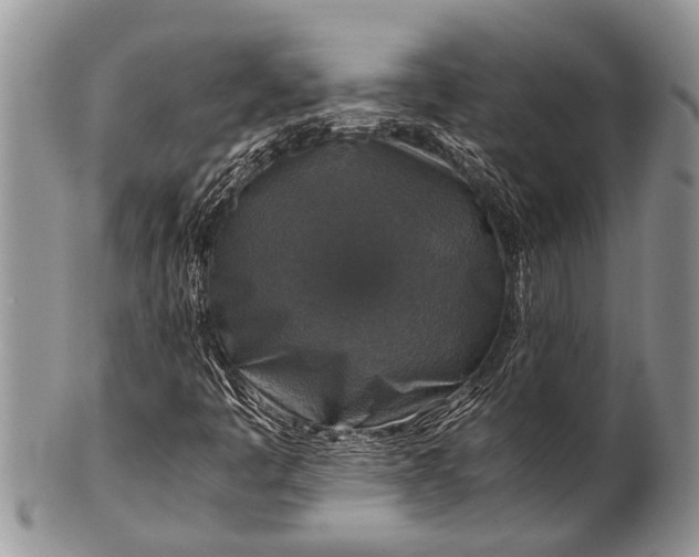 X0000100401445200806201726