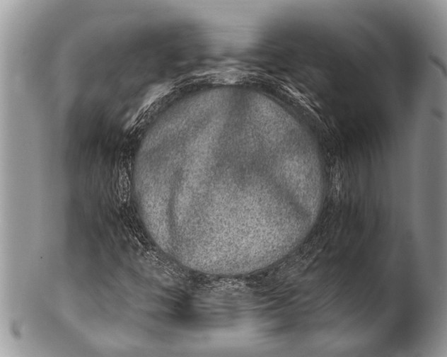 X0000100401446200806201726