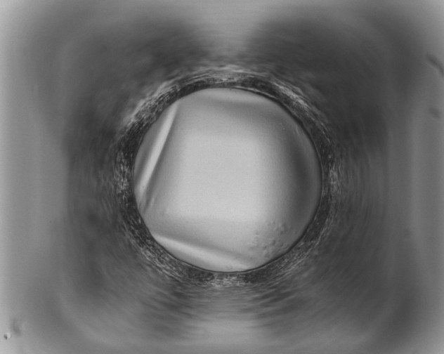 X0000100401447200806201726