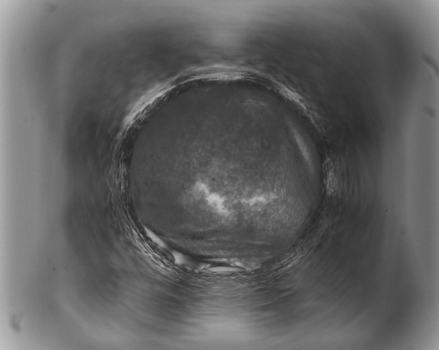 X0000100401448200806201726